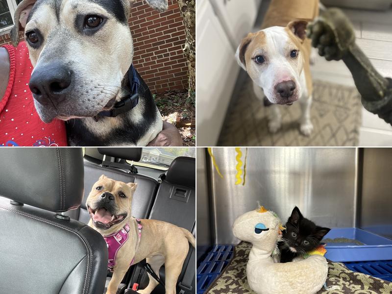 Riverside Veterinary Hospital: Bob Cameron DVM