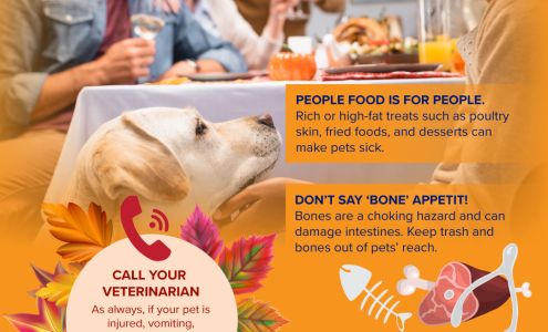 Seven Hills Veterinary Center: Mullen Jeffrey L DVM