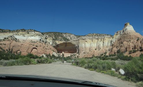 Rincon Blanco Veterinary Clinic Cebolla New Mexico 87518
