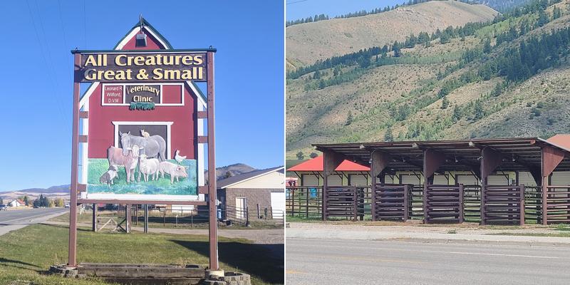 All Creatures Great & Small