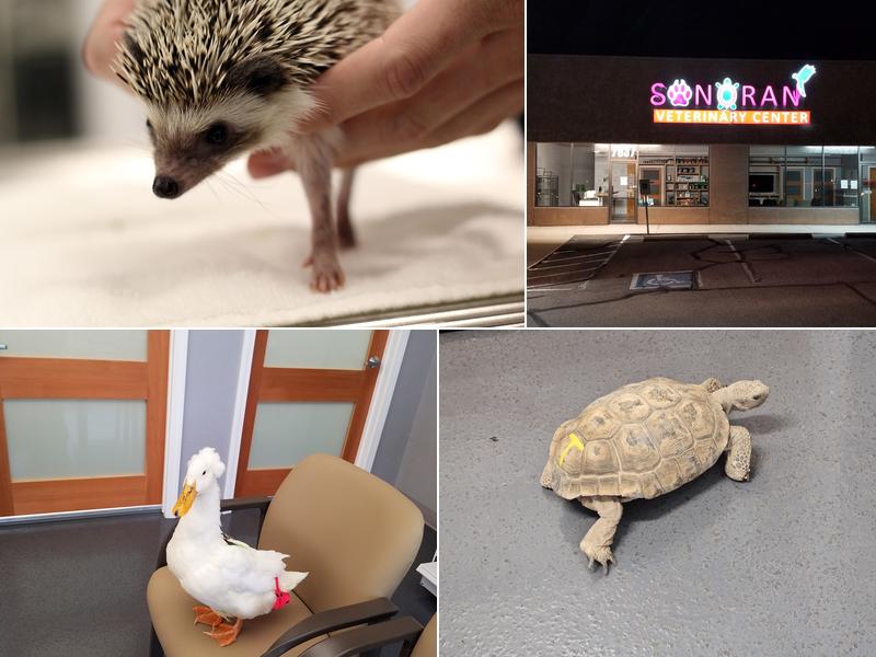 Sonoran Veterinary Center