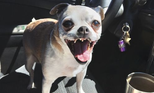 Cochise County Animal Hospital 1250 Fort Grant Rd, Willcox Arizona 85643