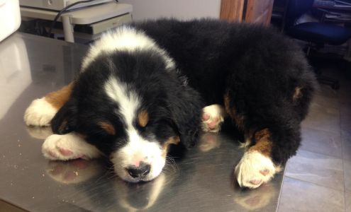 Four Winds Animal Clinic McCook