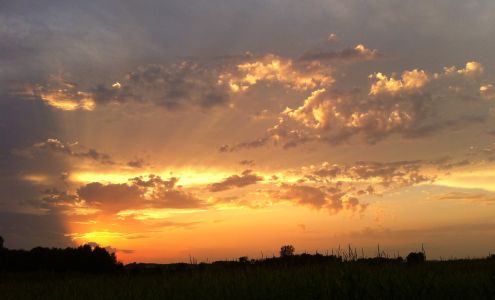 Oldfather Veterinary Care Macy