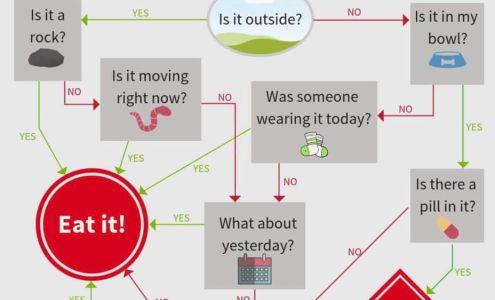 Sunrise Pet Clinic: Rademaker Sally DVM