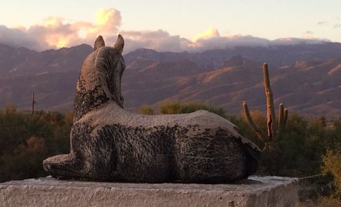 Pegasus Veterinary Center