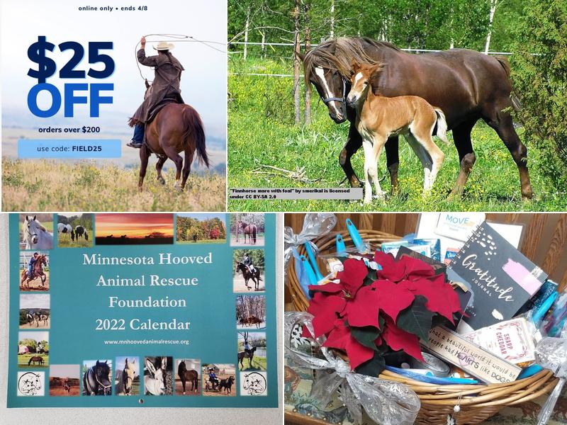 Anoka Equine Veterinary Services: Thieke J C DVM