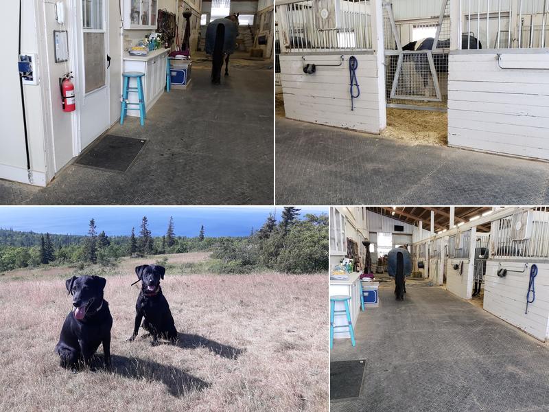 Woodland View Equine Services Inc