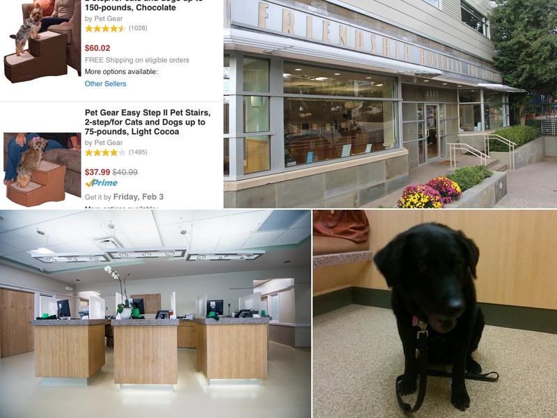 Friendship Hospital For Animals