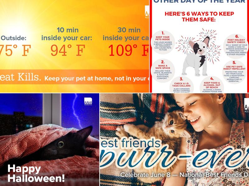 Grasseschi Helen DVM