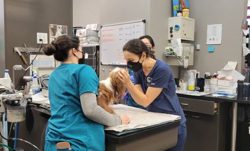 Hudson Animal Hospital