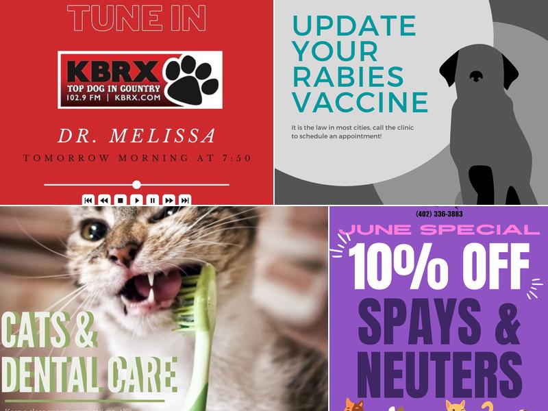 O'Neill Veterinary Clinic