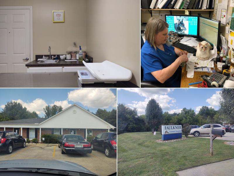 Faulkner Animal Hospital: Knox Daniel B DVM