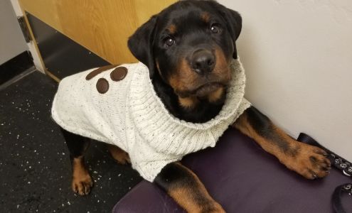 Aspen Animal Hospital