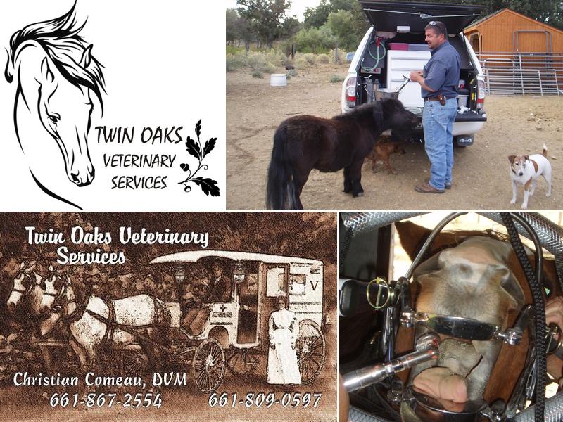Twin Oaks Veterinary Services