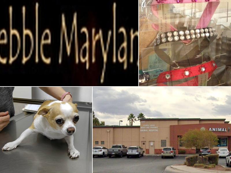 Dr. Yolette Hines, DVM