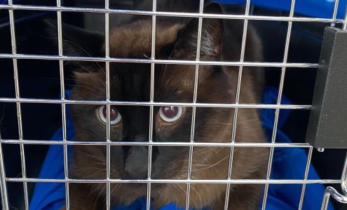 Camden Pet Hospital: Hoge Jeremy DVM