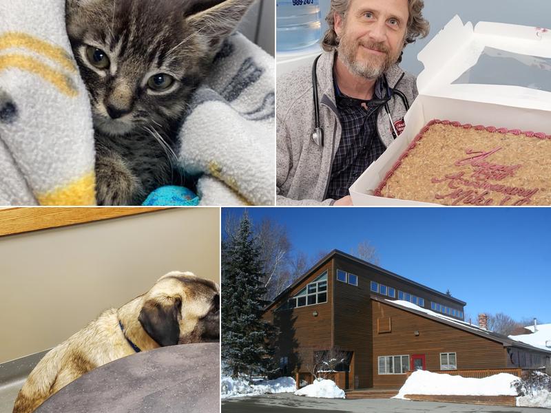 Veazie Veterinary Clinic