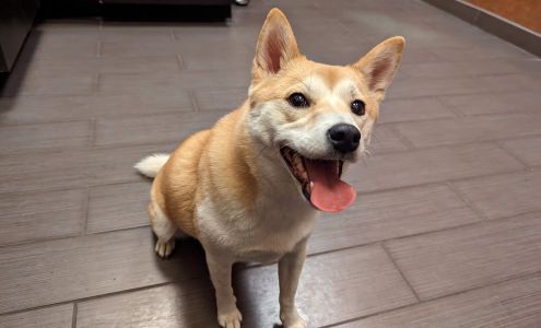 West Russell Animal Hospital