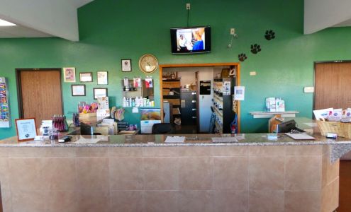 All American Animal Hospital