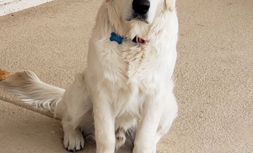 Rainbow Animal Hospital: Vensand Alric DVM 244 S Rainbow Blvd, Las Vegas Nevada 89145