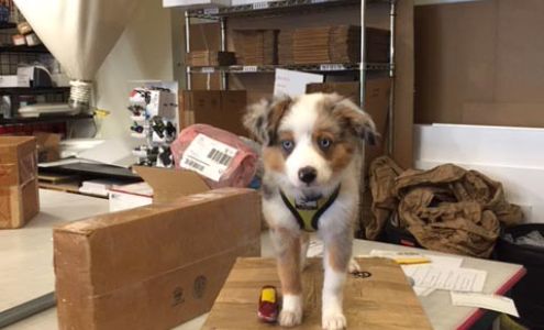 Pack Rat Shipping Services