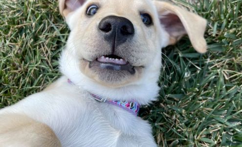 Mail and Parcel Center