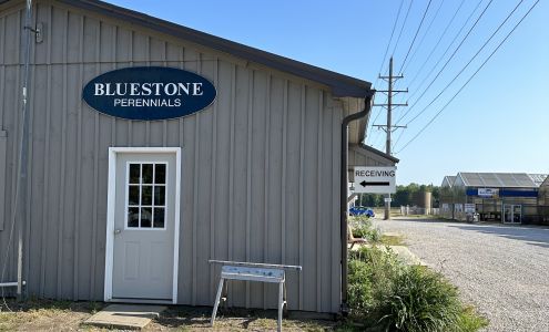 Bluestone Perennials