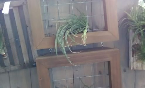 Mama's Garden Center