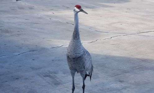 Costco Distribution Center
