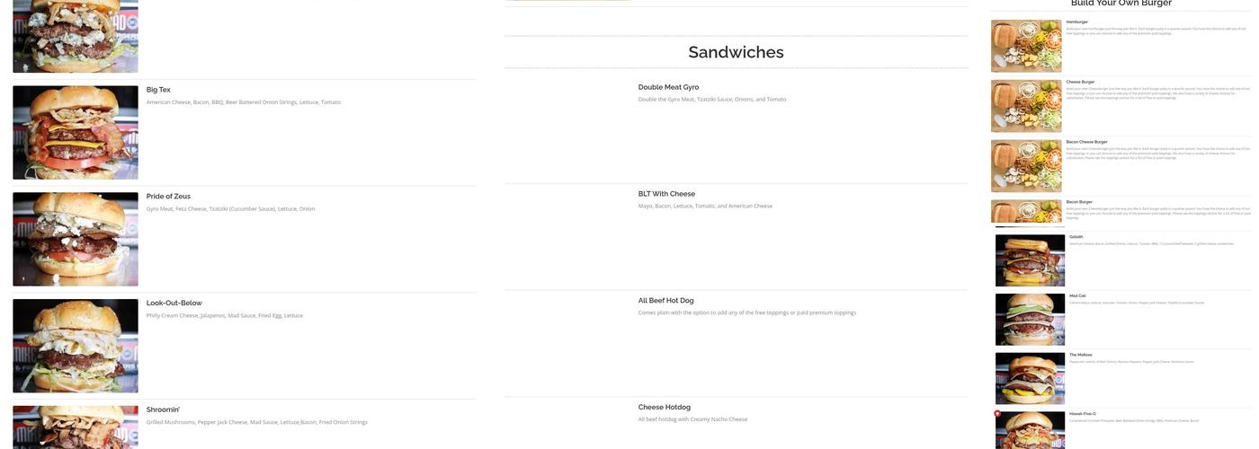 Mad Mikes Burgers & Fries Menu