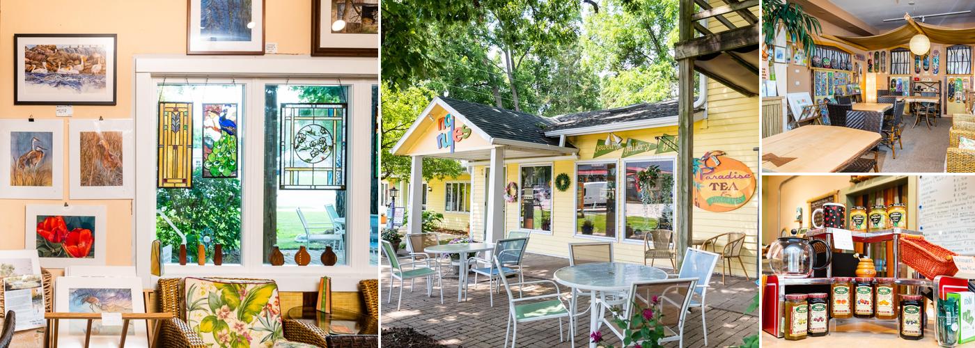 No Rules Gallery & Bird of Paradise Tea