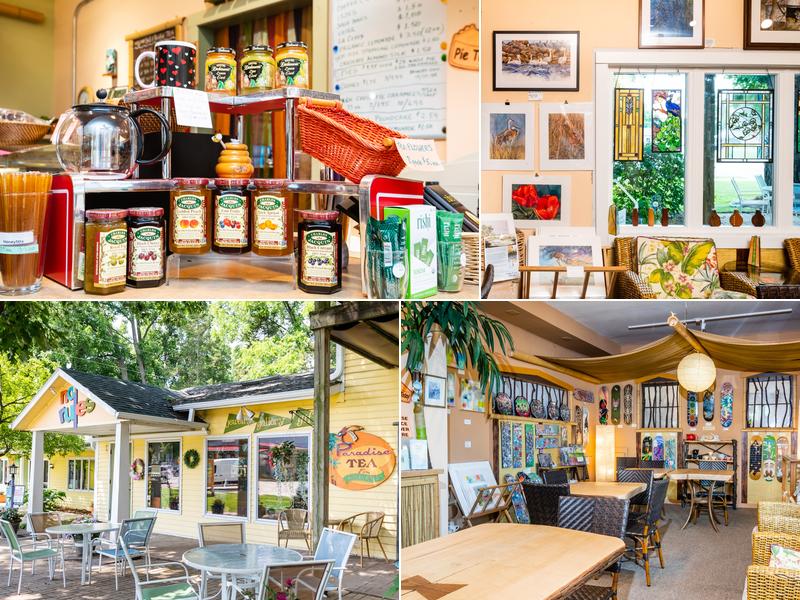 No Rules Gallery & Bird of Paradise Tea