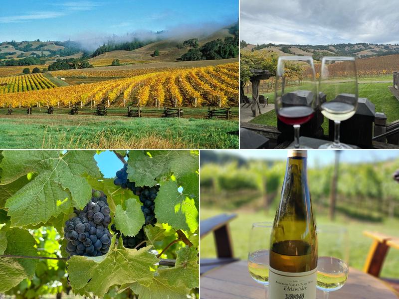 Navarro Vineyards & Winery