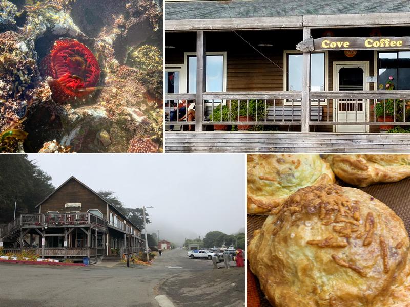 Cove Coffee 790 Port Rd, Point Arena