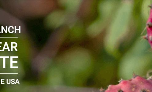 Arizona Cactus Ranch