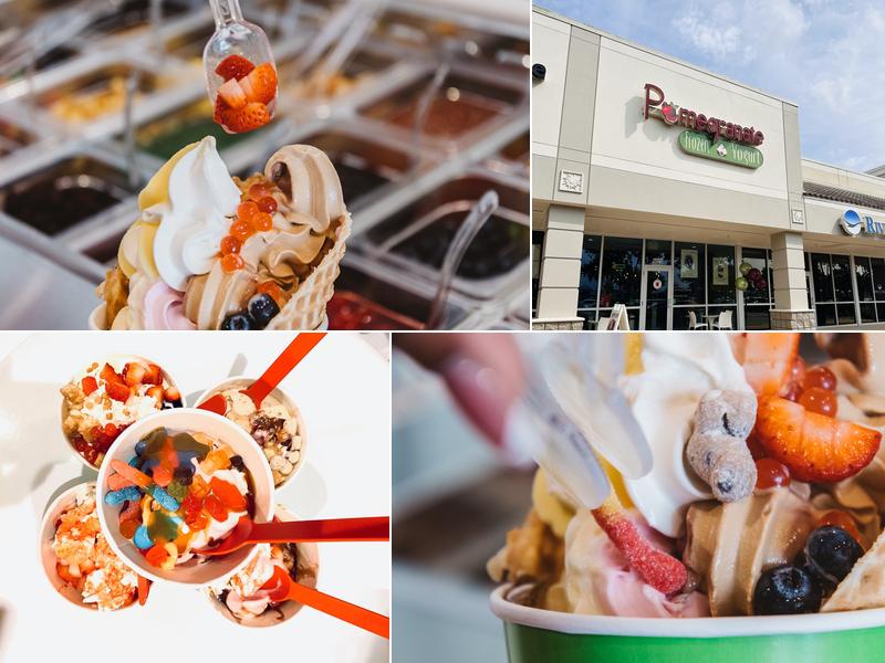 Pomegranate Frozen Yogurt