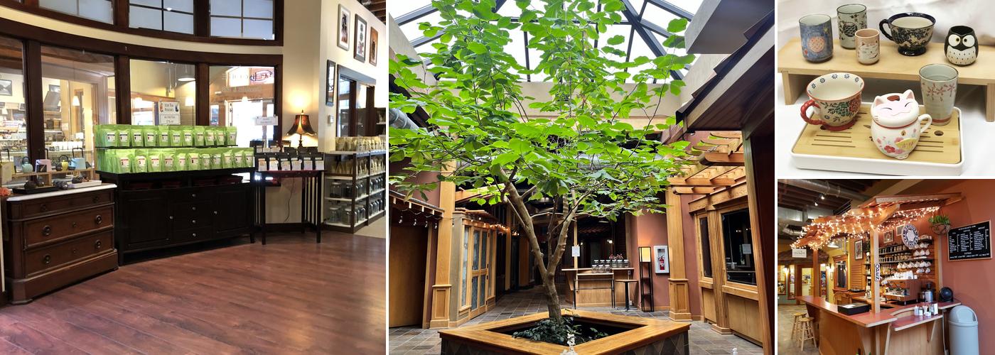 Encore Chocolates and Teas