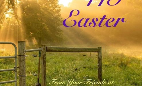 Burkmann Feeds of Edmonton Edmonton