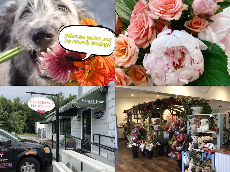 Hutcheon's Florist & Flower Delivery