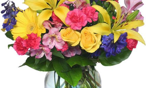 Blooms of Blountstown Blountstown