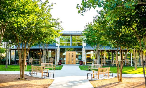 Texas Wine Collective