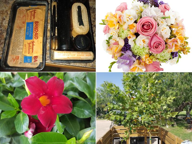 Curry's Nursery & Floral