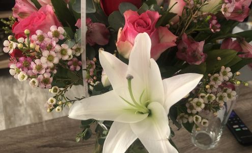 Chesterfield Florist