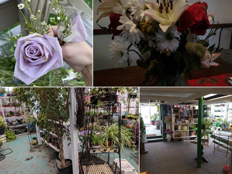 Renaissance Floral Gallery