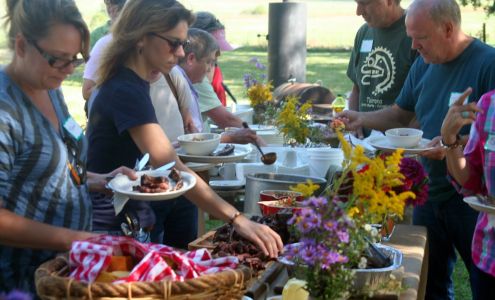 Grassroots Farm & Foods