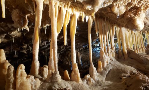 Wonderland Cave Nemo