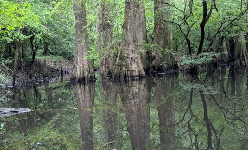 Big Thicket National Preserve Kountze