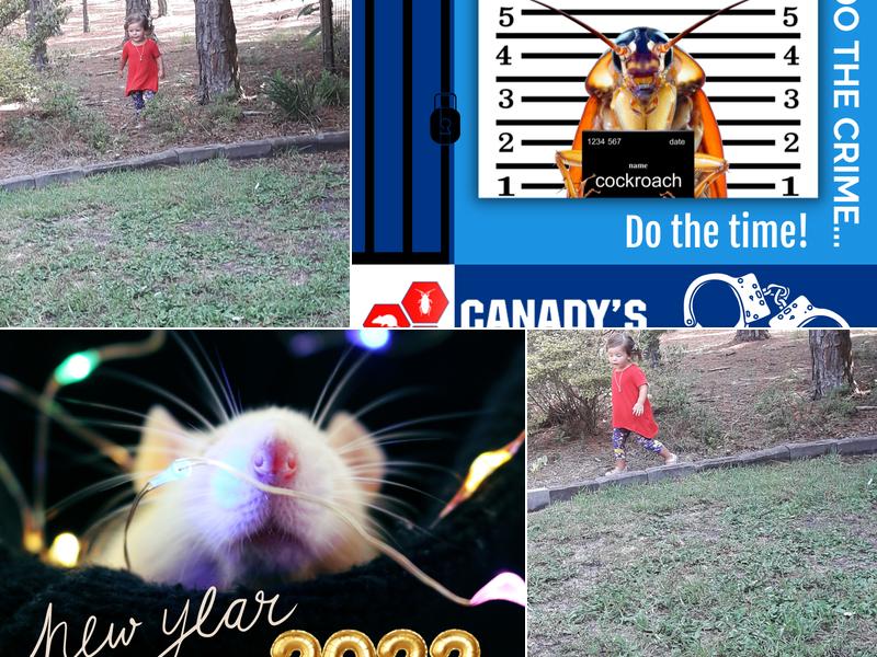 Canady's Termite/Pest Control