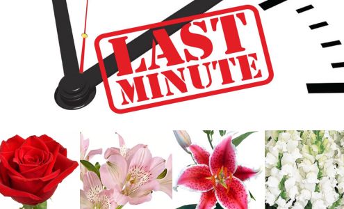 Burnett's Flowers & Design